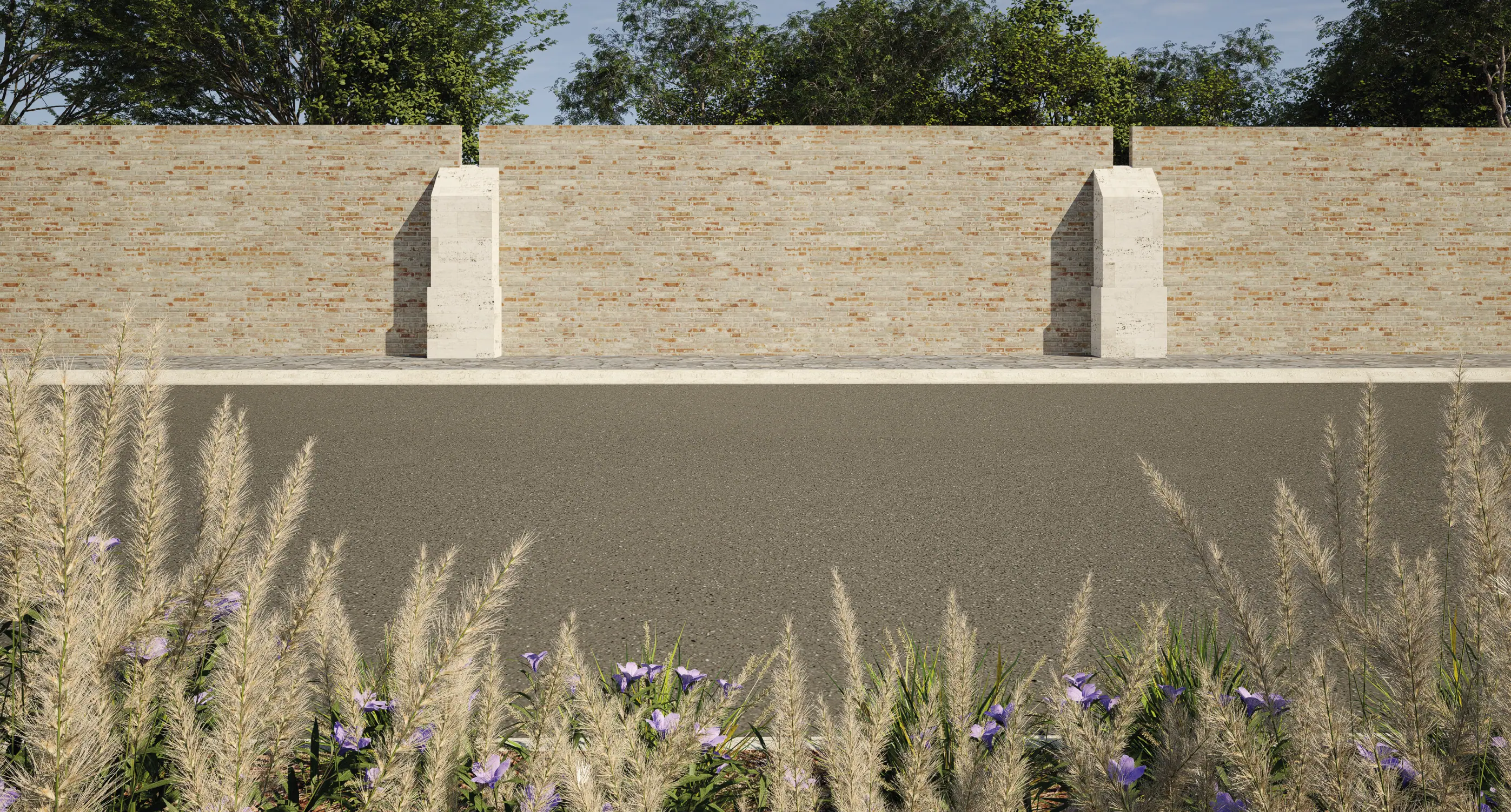 Imagen de galeria 19